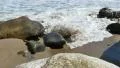 Super Slow Motion Waves 19 Rocky Shore 96fps HD Footage
