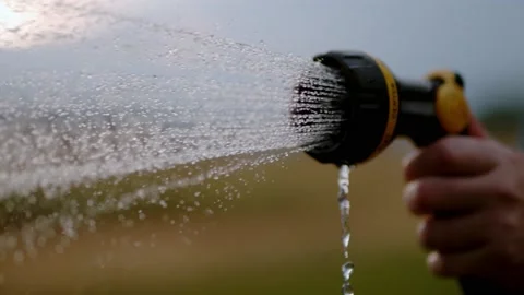 Super slow motion womans hand watering nozzle garden bed in 4k Stock Footage 204048632