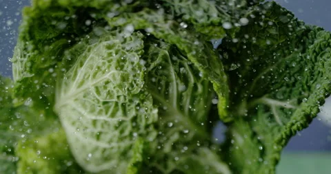 In Super Slowmotion 1000 fps Stock Footage 161799763
