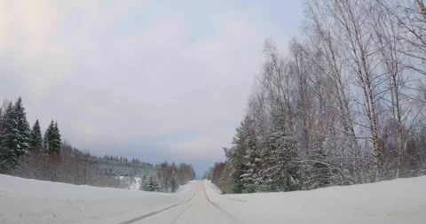 Super smooth drone flight from a height of one meter. Fresh Sunny day video. POV Stock Footage 264258202