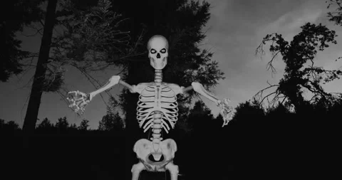 Super spooky moving Skeleton set in forest scene 動画素材 289303143