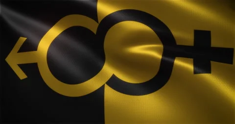 Super Straight Flag with Sign, Pride Flag with waving folds, close up view Stock Footage 160244863