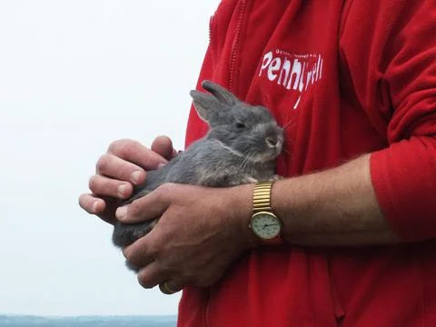 'Super Tiny Animals' TV Programme - Nov 2011 Foto stock