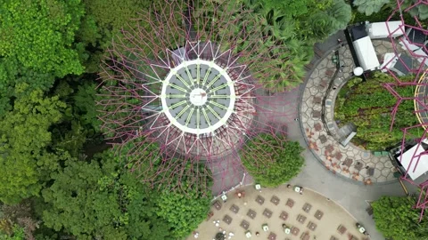 Super tree Singapore 스톡 동영상 232691824