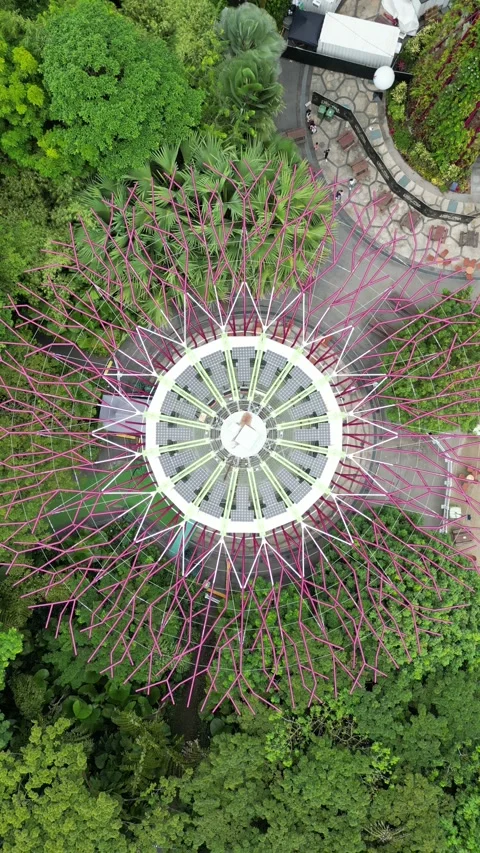 Super tree Singapore 스톡 동영상 232691931