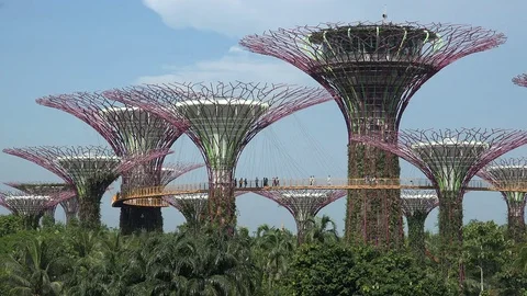 Botanical Garden Drone Gardens By The Bay Super Trees In Botanical