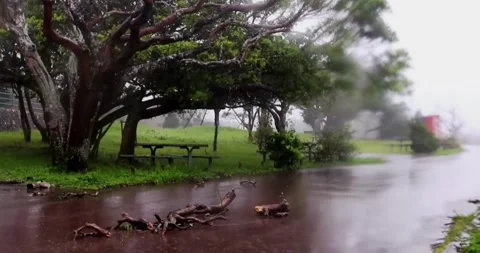 Super Typhoon Goni hits Philippines the world's most powerful storm 動画素材 334647799