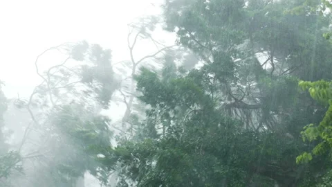 Super Typhoon Mangkhut into Hong Kong Stock Footage