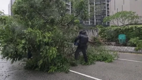 Super typhoon Ragasa sweeps across Hong Kong, triggering damage, flooding, Hong  Stock Footage 317673283