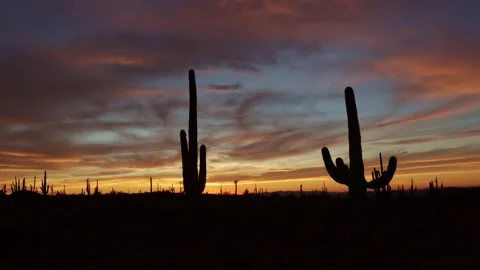 Super Vibrant Sonoran Desert Time-Lapse Footage Scottsdale AZ Stock Footage 344278895