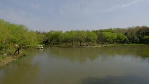 Super wide angle shot woods and small rivers in Shanghai Park Video stock 107754694