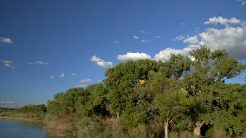 Super wide, beautiful tilt down of Rio Grande river. Stock Footage 127006611