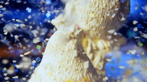 Super Wide Macro Shot Of Snow Globe with Bird in it Stock-Footage 126865336