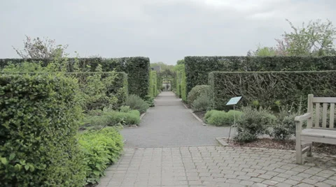 Super Zoom through Garden Stock Footage 38852281