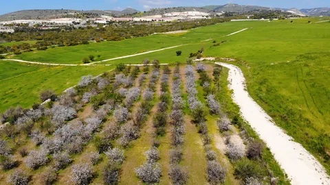 Superb green field in Cyprus 2018 Video stock 87207570