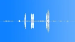 Superb Starling CU CallsSound Effect