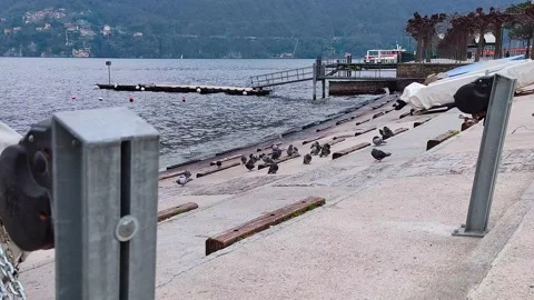 Superb view of Lake Como from the city of Cernobbio at Villa Erba 5 Stock Footage 232298649