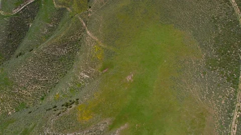 Superbloom Drone Footage Stock Footage 237907856