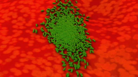 Superbug spreading simulation. Stock Footage 809726