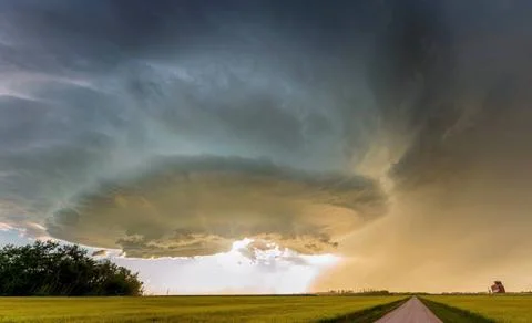 Supercell storm cloud forming over canola field at sunset Dramatic superce... Stock Photos