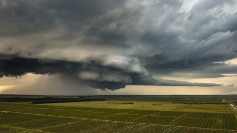 Supercell thunderstorm time lapse over the Florida wetlands. Vidéo 240729895