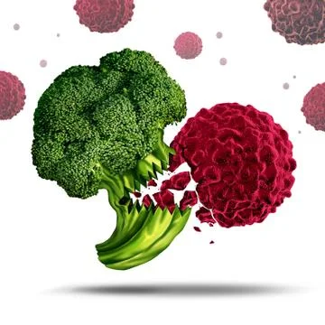 Superfood Concept Stock Illustration