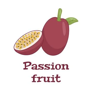 Superfood fruit. Passion fruit. Vector illustration cartoon flat icon isolated Stock Illustration