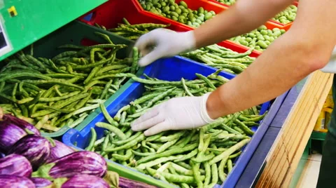 Supermarket beans in pods Stock Footage 56040169