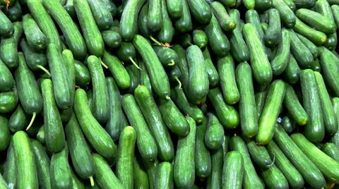 Supermarket cucumbers as background Stock Footage 55408517