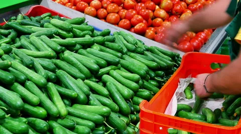 Supermarket cucumbers Stock Footage 55409267