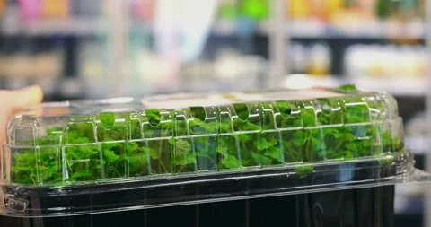 Supermarket customer selecting fresh mint seedlings in a clear plastic container Stock Footage 309046792