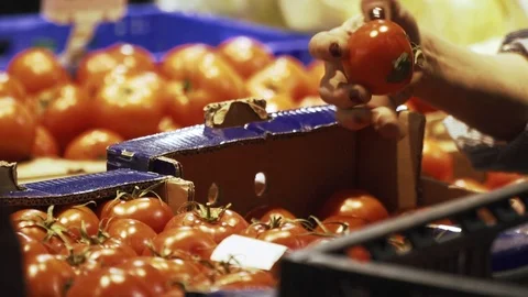 Supermarket employee is sorting the tomatoes, close up Stock Footage 110905374