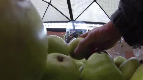 Supermarket pears squeezed by man's hands Stock Footage 47428150