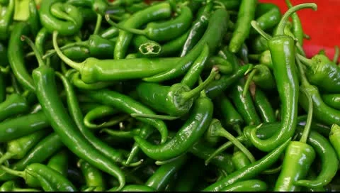 Supermarket section vegetables Stock Footage 10793689