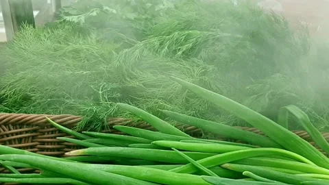 Supermarket  shelf with greenery Stock Footage 156040192