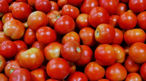 Supermarket tomatoes as background Stock Footage 55408520