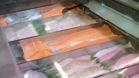Supermarket's showcase full of assorted fresh fishes sliced fillets, display Stock Footage 169324863
