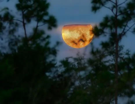 Supermoon 2023 Stock Photos