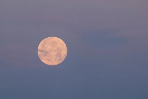 Supermoon just before Moonset, with cloud. Stock Photos