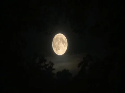 Supermoon in the night sky 2 库存影片 83792642