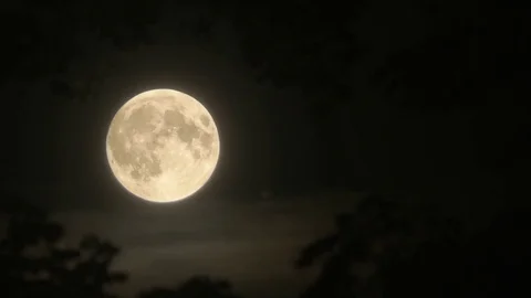 Supermoon in the night sky Stock Footage 83792623