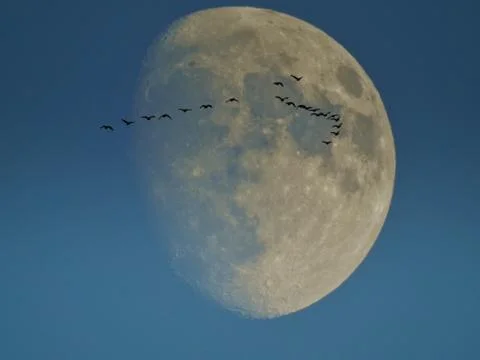 Supermoon Stock Photos