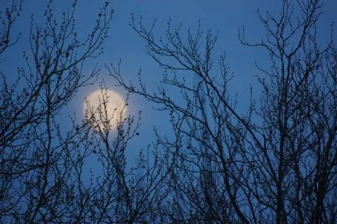 SUPERMOON PINK FULL MOON 8 APRIL 2020 IN FRANCE Foto stock