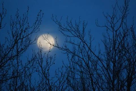 Supermoon pink full moon - 8 April 2020 in France Stock Photos