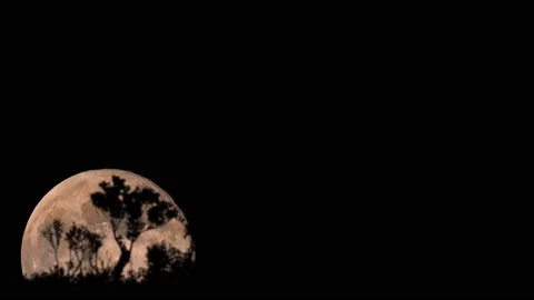 SUPERMOON RISE Stock-Footage 130216114