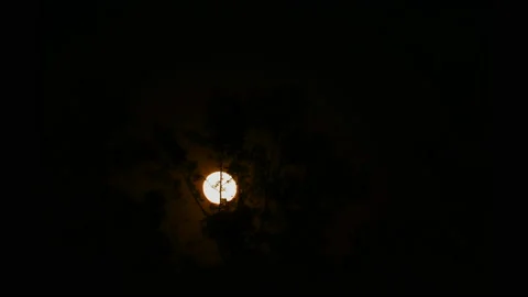 Supermoon Rising Timelapse 動画素材 137487068