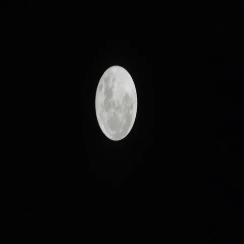Supermoon Timelapse Video stock 69637787