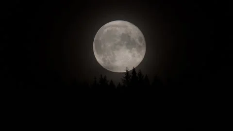 Supermoon timelapse while rising in sky. Stock Footage 139769468