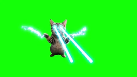 Superpowered tabby cat shooting intense blue lightning bolts from eyes against Stock Footage 346040338