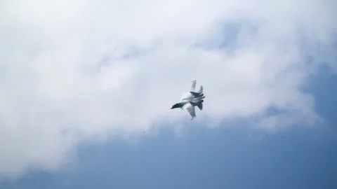 Supersonic bomber or armed warplane for attack slow mo. Skill for fly in blue cl Stock Footage 199488567